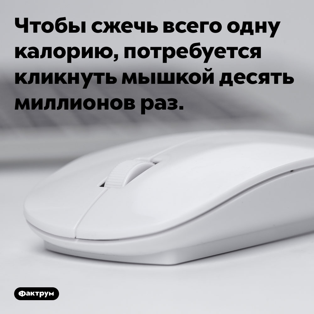 Чтобы сжечь всего одну калорию, потребуется кликнуть мышкой десять миллионов раз. 