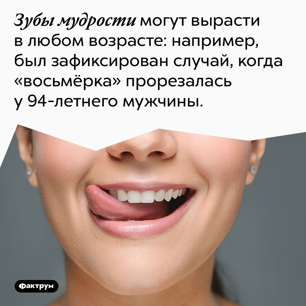 Зубы мудрости могут вырасти в любом возрасте: например, был зафиксирован случай, когда «восьмёрка» прорезалась у 94-летнего мужчины.