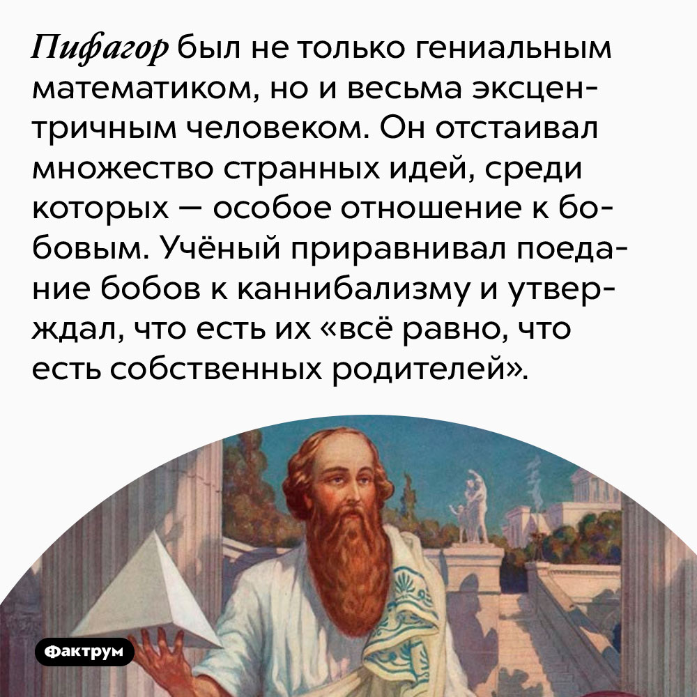 Пифагор был не только гениальным математиком, но и весьма эксцентричным человеком. Он отстаивал множество странных идей, среди которых — особое отношение к бобовым. Учёный приравнивал поедание бобов к каннибализму и утверждал, что есть их «всё равно, что есть собственных родителей».