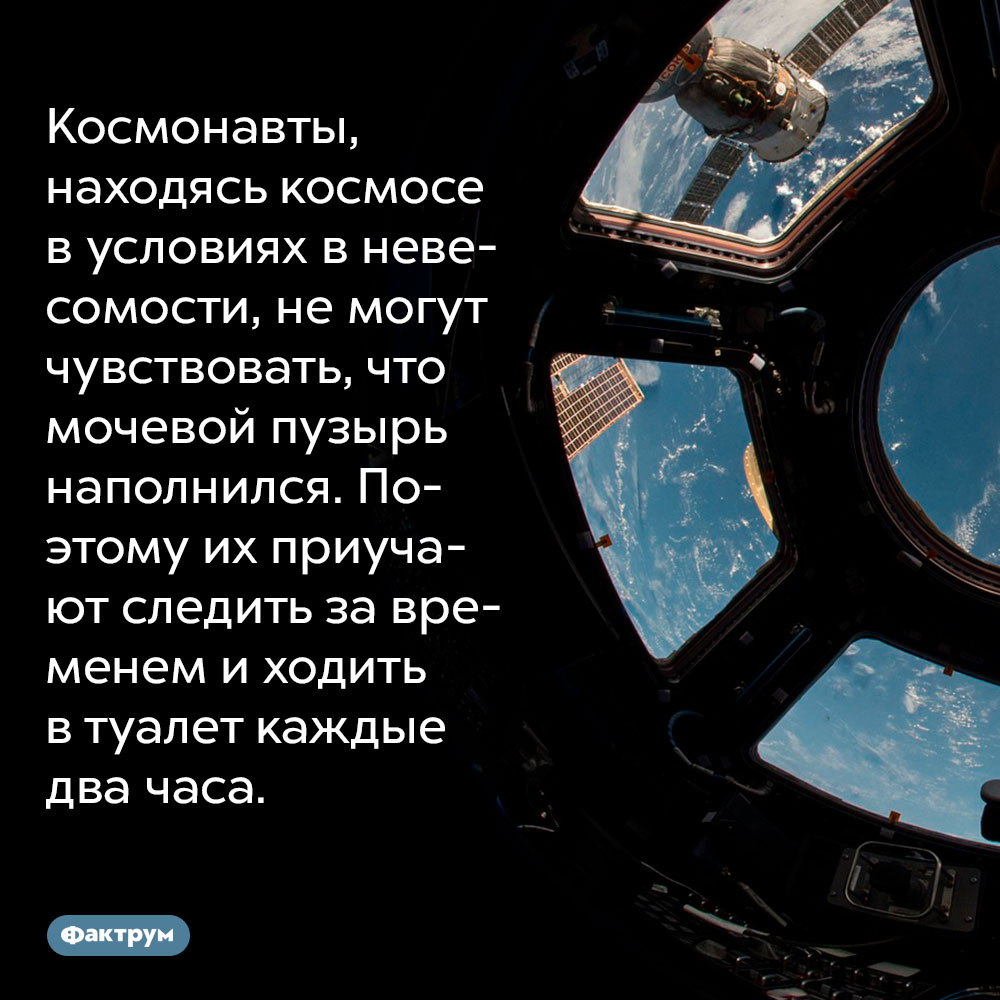 Космонавты, находясь космосе в условиях в невесомости, не могут чувствовать, что мочевой пузырь наполнился. Поэтому их приучают следить за временем и ходить в туалет каждые два часа.