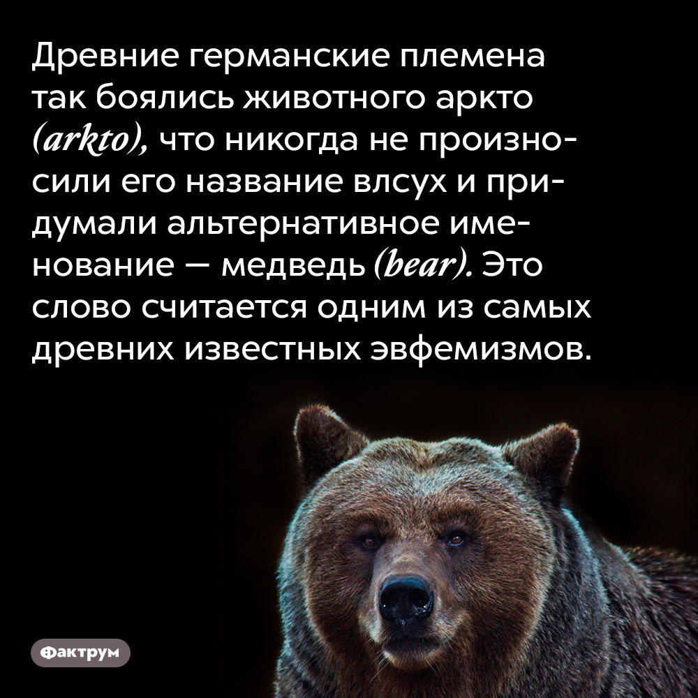 Древние германские племена так боялись животного аркто (arkto), что никогда не произносили его название влсух и придумали альтернативное именование — медведь (bear). Это слово считается одним из самых древних известных эвфемизмов.