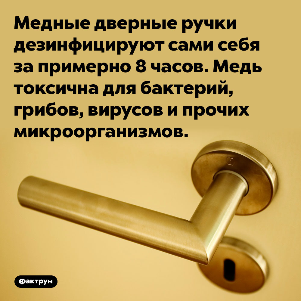 Медные дверные ручки дезинфицируют сами себя за примерно 8 часов. Медь токсична для бактерий, грибов, вирусов и прочих микроорганизмов.