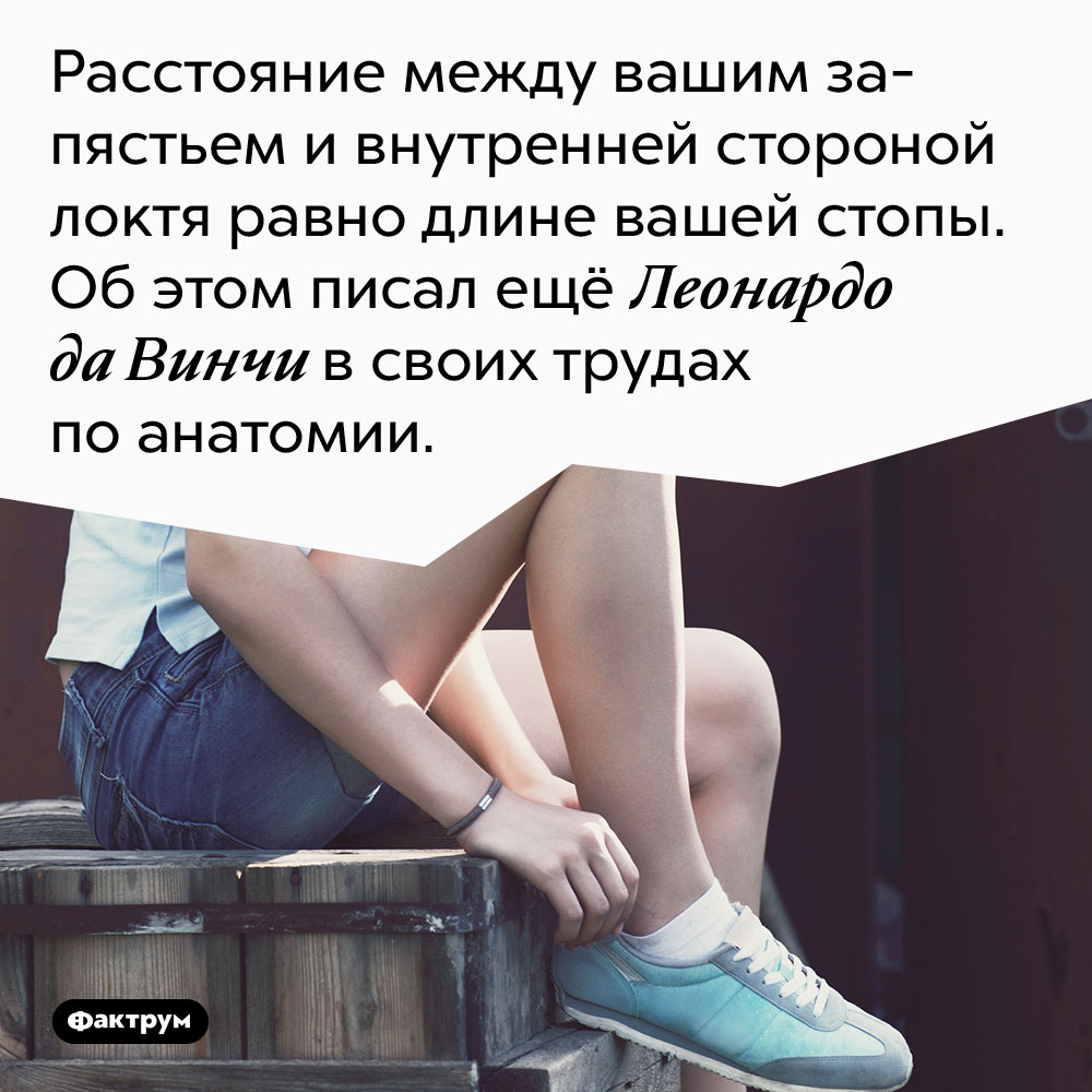 Расстояние между вашим запястьем и внутренней стороной локтя равно длине вашей стопы. Об этом писал ещё Леонардо да Винчи в своих трудах по анатомии.