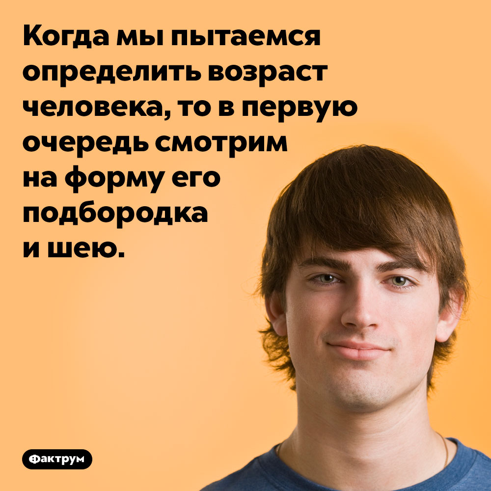 Когда мы пытаемся определить возраст человека, то в первую очередь смотрим на форму его подбородка и шею. 