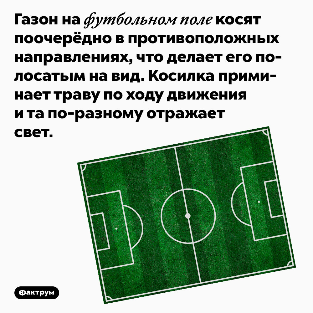 Почему газон на футбольных полях полосатый. Газон на футбольном поле косят поочерёдно в противоположных направлениях, что делает его полосатым на вид. Косилка приминает траву по ходу движения и та <nobr>по-разному</nobr> отражает свет.