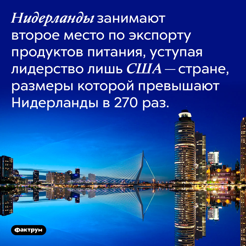 Нидерланды кормят мир. Нидерланды занимают второе место по экспорту продуктов питания, уступая лидерство лишь США — стране, размеры которой превышают Нидерланды в 270 раз.