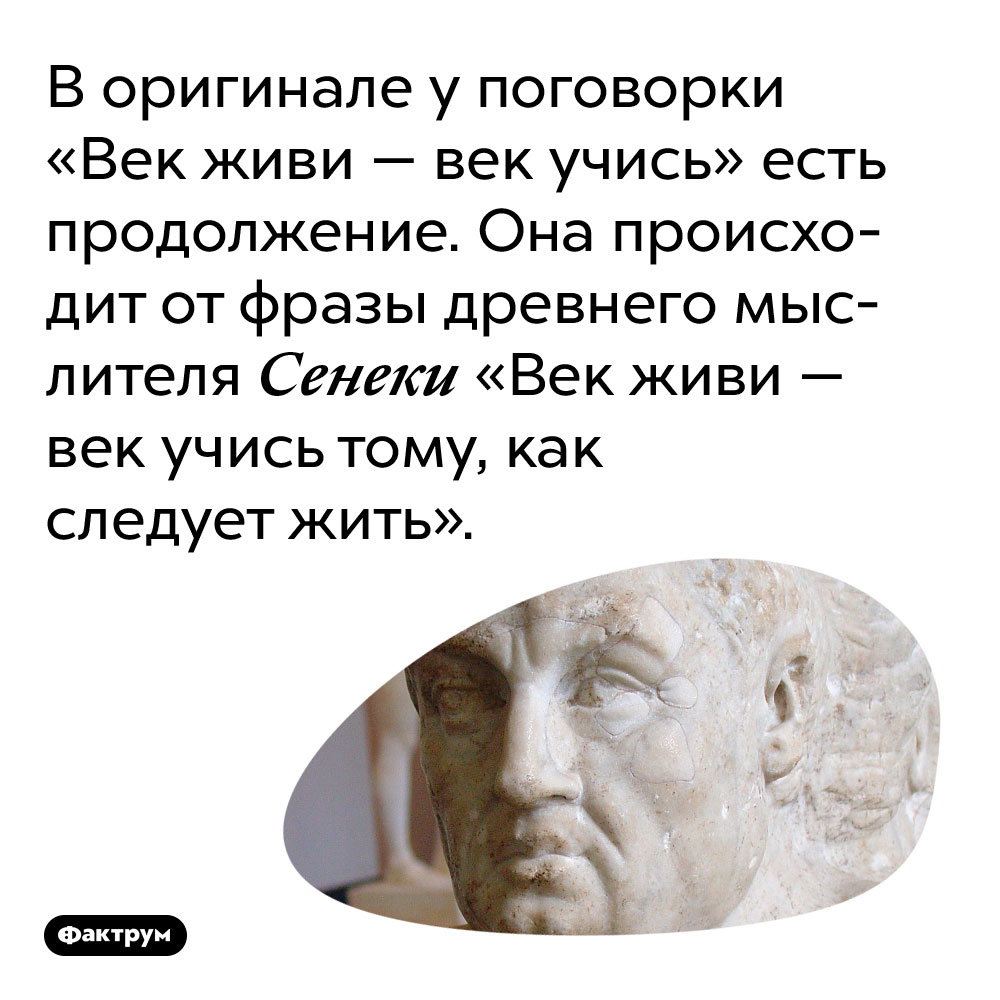 Век живи век учись это. Век живи век учись продолжение. Век живи век учись цитаты. Сенека фразы крылатые. Пословица век живи век.