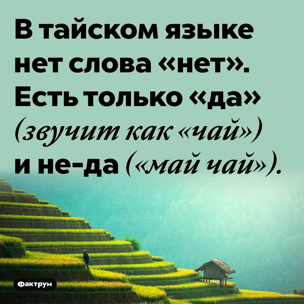 В тайском языке нет слова «нет». Есть только «да» (звучит как «чай») и не-да («май чай»).