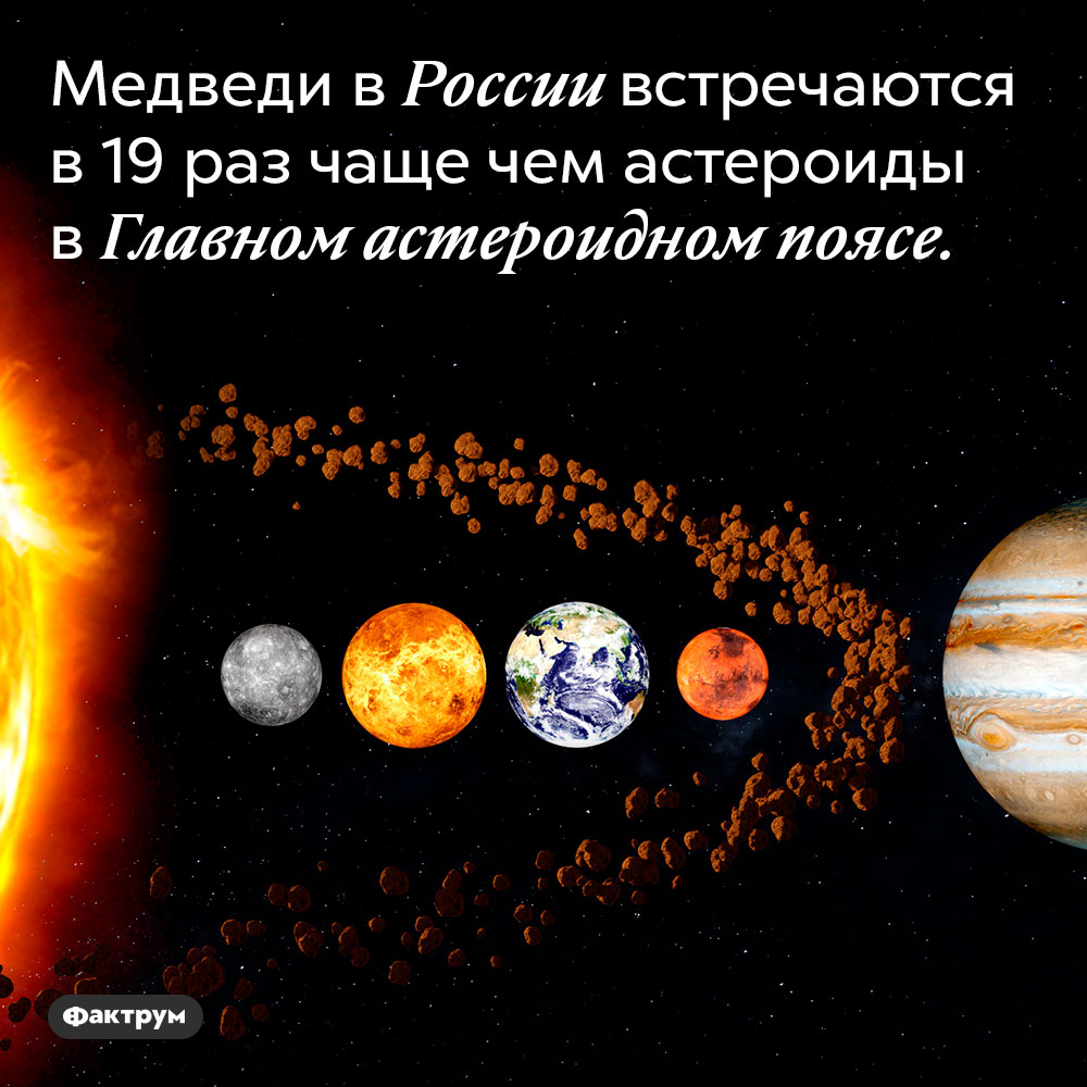 Медведи в России встречаются в 19 раз чаще, чем астероиды в Главном астероидном поясе. 