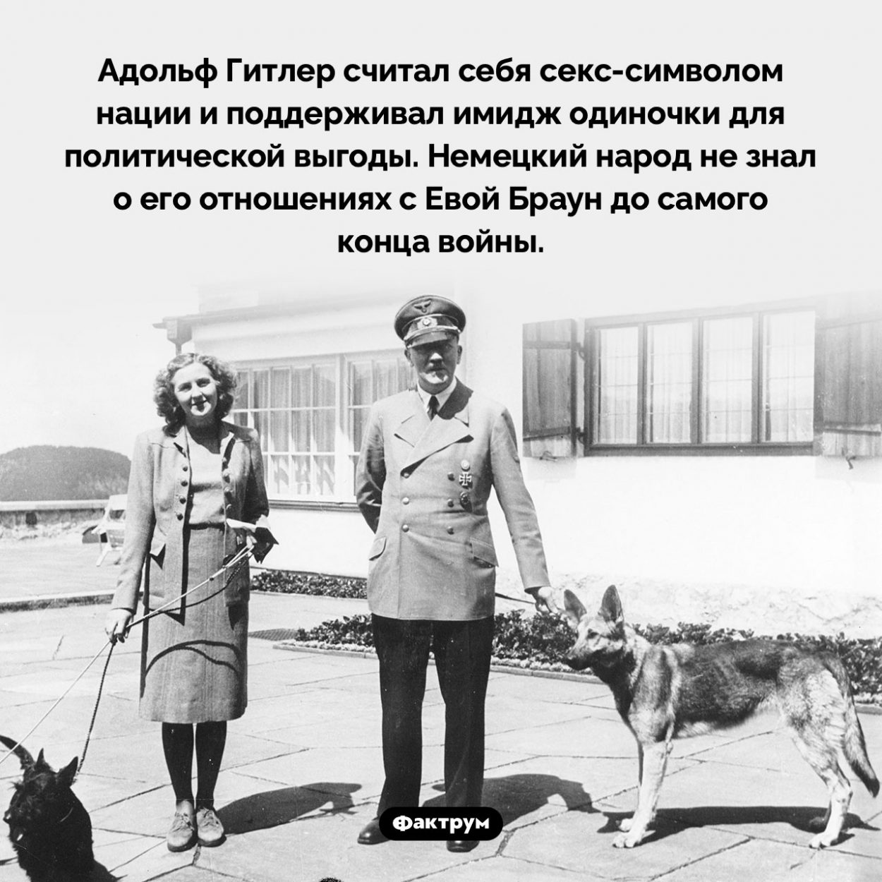 Адольф Гитлер считал себя секс-символом нации. Адольф Гитлер считал себя секс-символом нации и поддерживал имидж одиночки для политической выгоды. Немецкий народ не знал о его отношениях с Евой Браун до самого конца войны.