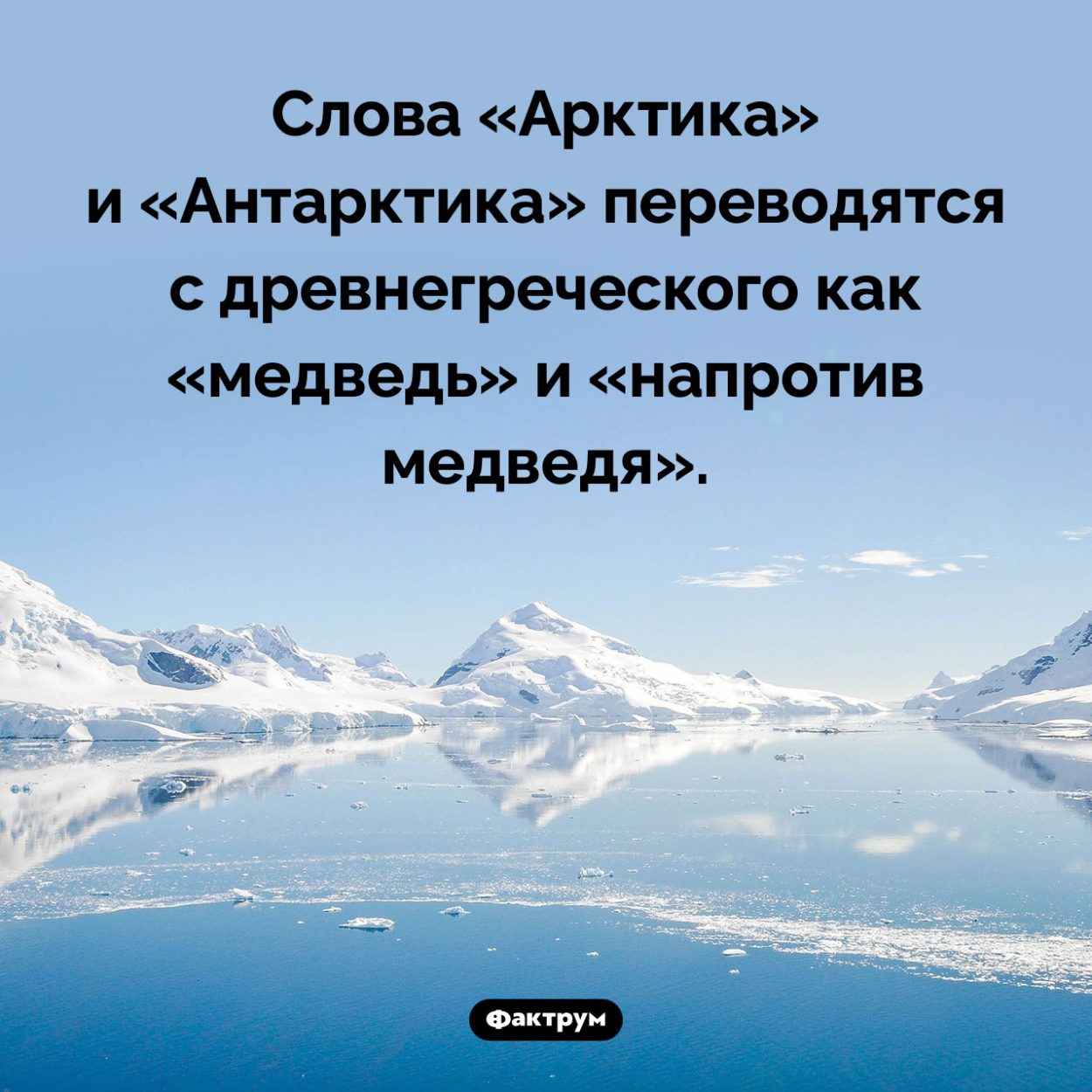 Как переводятся слова «Арктика» и «Антарктика». Слова «Арктика» и «Антарктика» переводятся с древнегреческого как «медведь» и «напротив медведя».