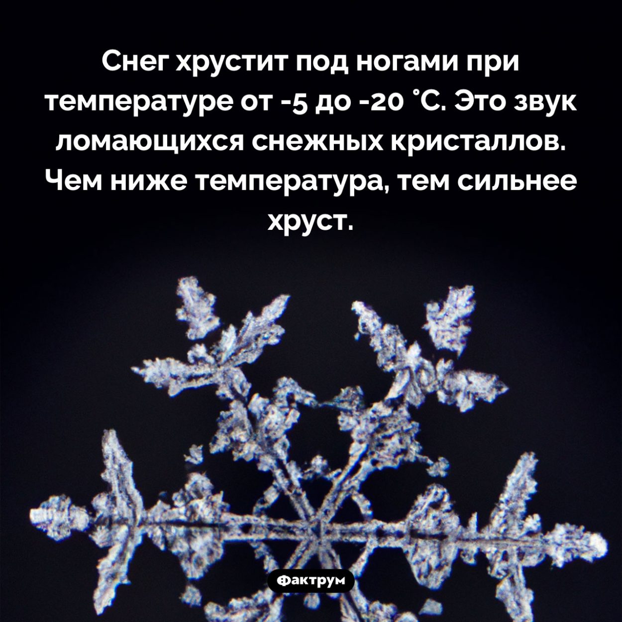 Когда хрустит снег. Снег хрустит под ногами при температуре от -5 до -20 °C. Это звук ломающихся снежных кристаллов. Чем ниже температура, тем сильнее хруст.