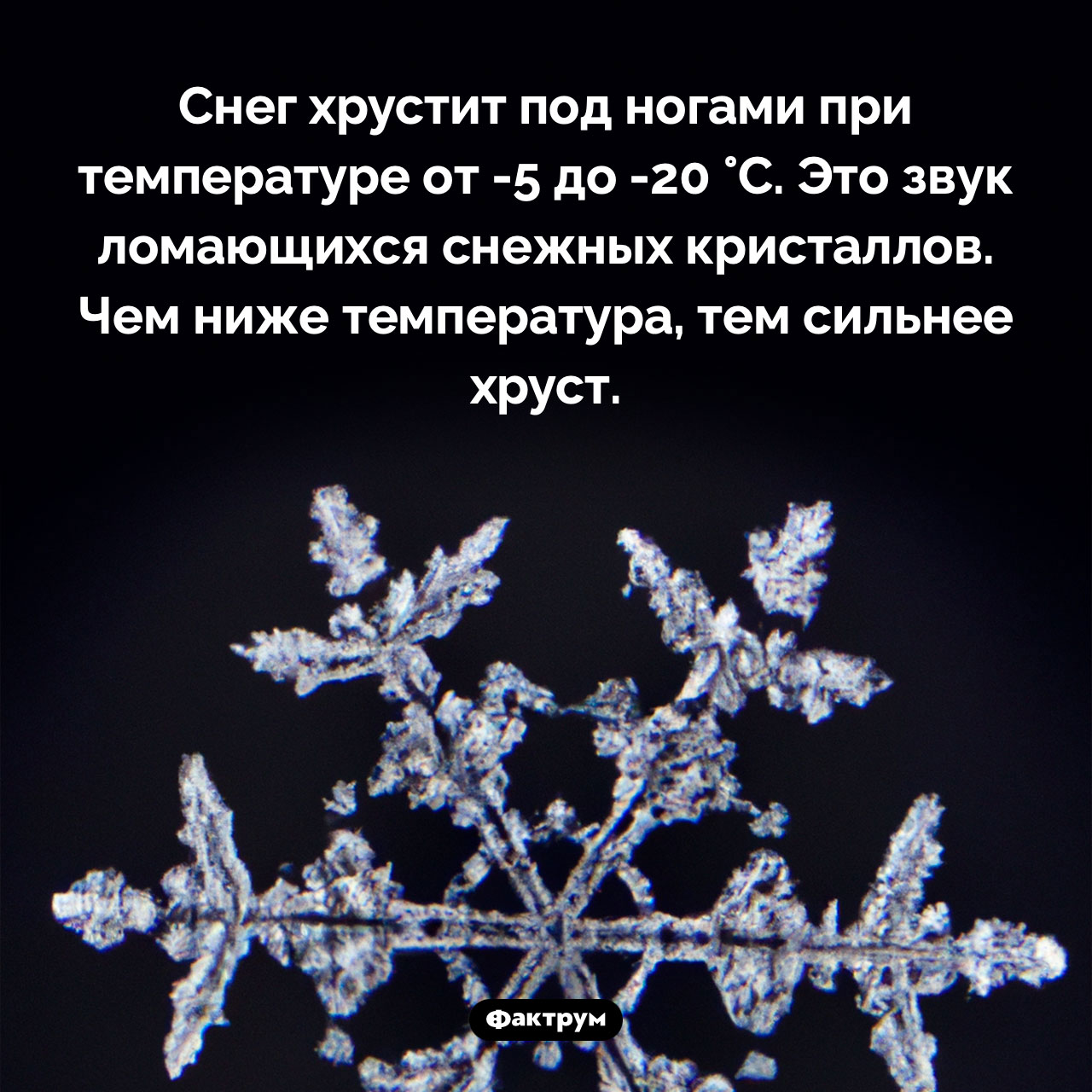 Когда хрустит снег