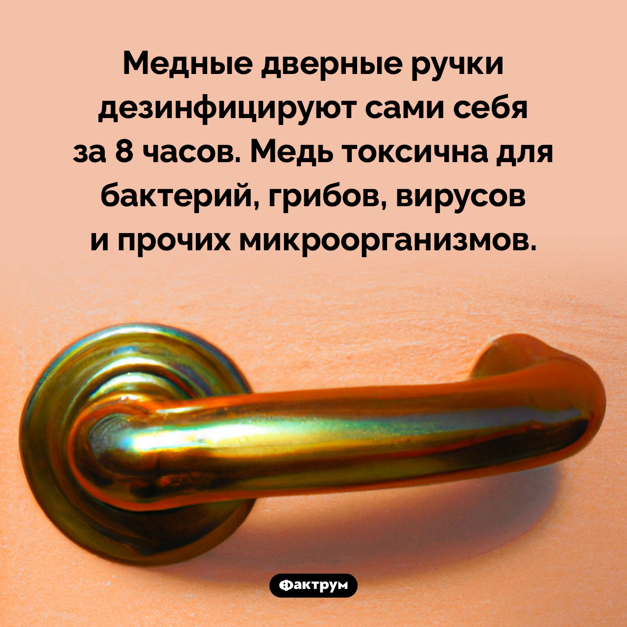 Медные дверные ручки дезинфицируют сами себя