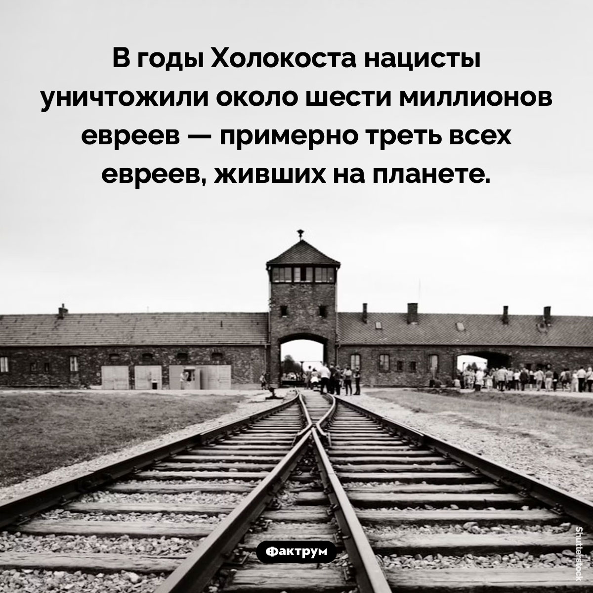 Жертвы Холокоста. В годы Холокоста нацисты уничтожили около шести миллионов евреев — примерно треть всех евреев, живших на планете.