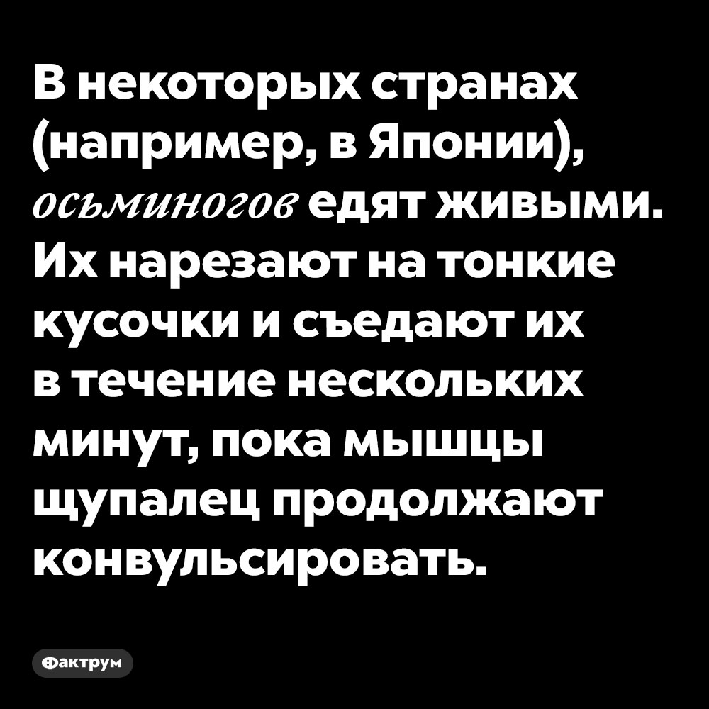 В некоторых странах (например, в Японии), осьминогов едят живыми. Их нарезают на тонкие кусочки и съедают их в течение нескольких минут, пока мышцы щупалец продолжают конвульсировать.