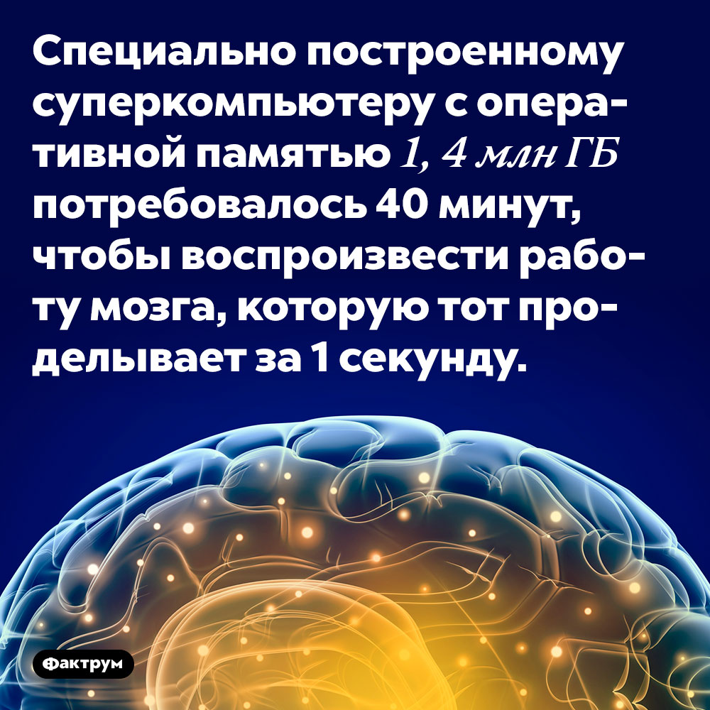 Мозг работает быстрее любого суперкомпьютера, который люди могут построить. Специально построенному суперкомпьютеру с оперативной памятью 1, 4 млн Гб потребовалось 40 минут, чтобы воспроизвести работу мозга, которую тот проделывает за 1 секунду.