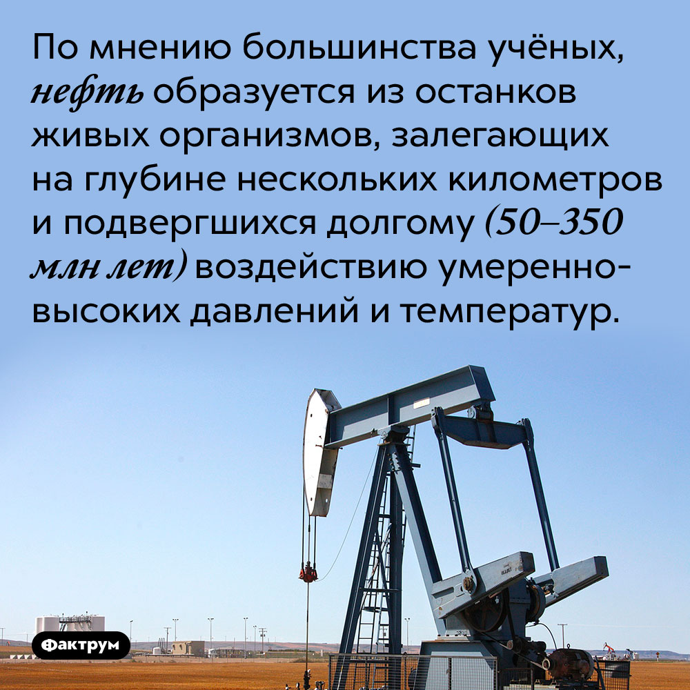 Что такое нефть. По мнению большинства учёных, нефть образуется из останков живых организмов, залегающих на глубине нескольких километров и подвергшихся долгому (50–350 млн лет) воздействию <nobr>умеренно-высоких</nobr> давлений и температур.