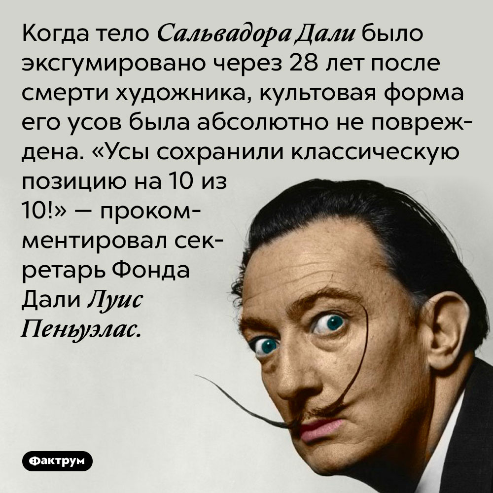 «Усы сохранили классическую позицию на 10 из 10!». Когда тело Сальвадора Дали было эксгумировано через 28 лет после смерти художника, культовая форма его усов была абсолютно не повреждена. «Усы сохранили классическую позицию на 10 из 10!» — прокомментировал секретарь Фонда Дали Луис Пеньуэлас.