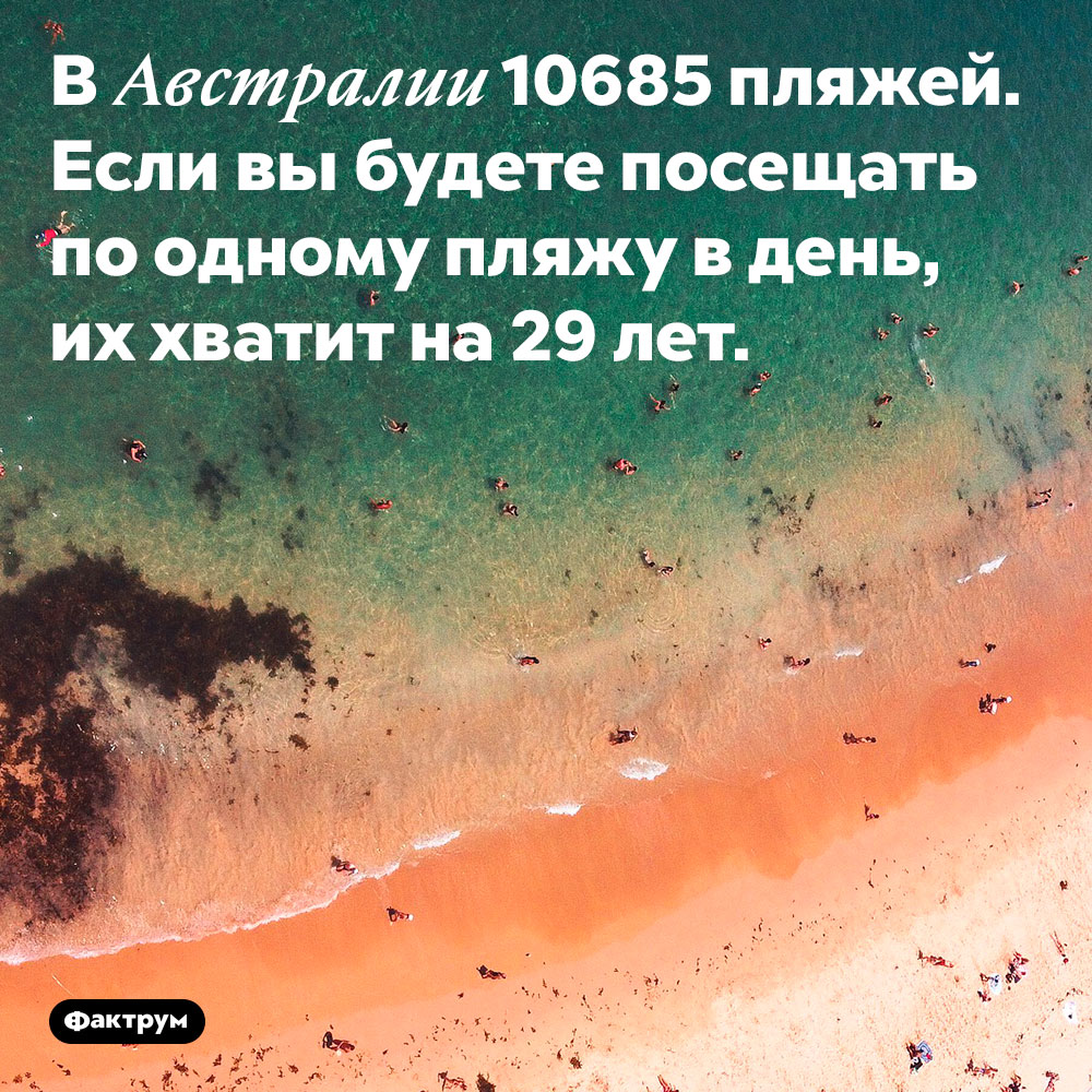 Сколько в Австралии пляжей. В Австралии 10685 пляжей. Если вы будете посещать по одному пляжу в день, их хватит на 29 лет.