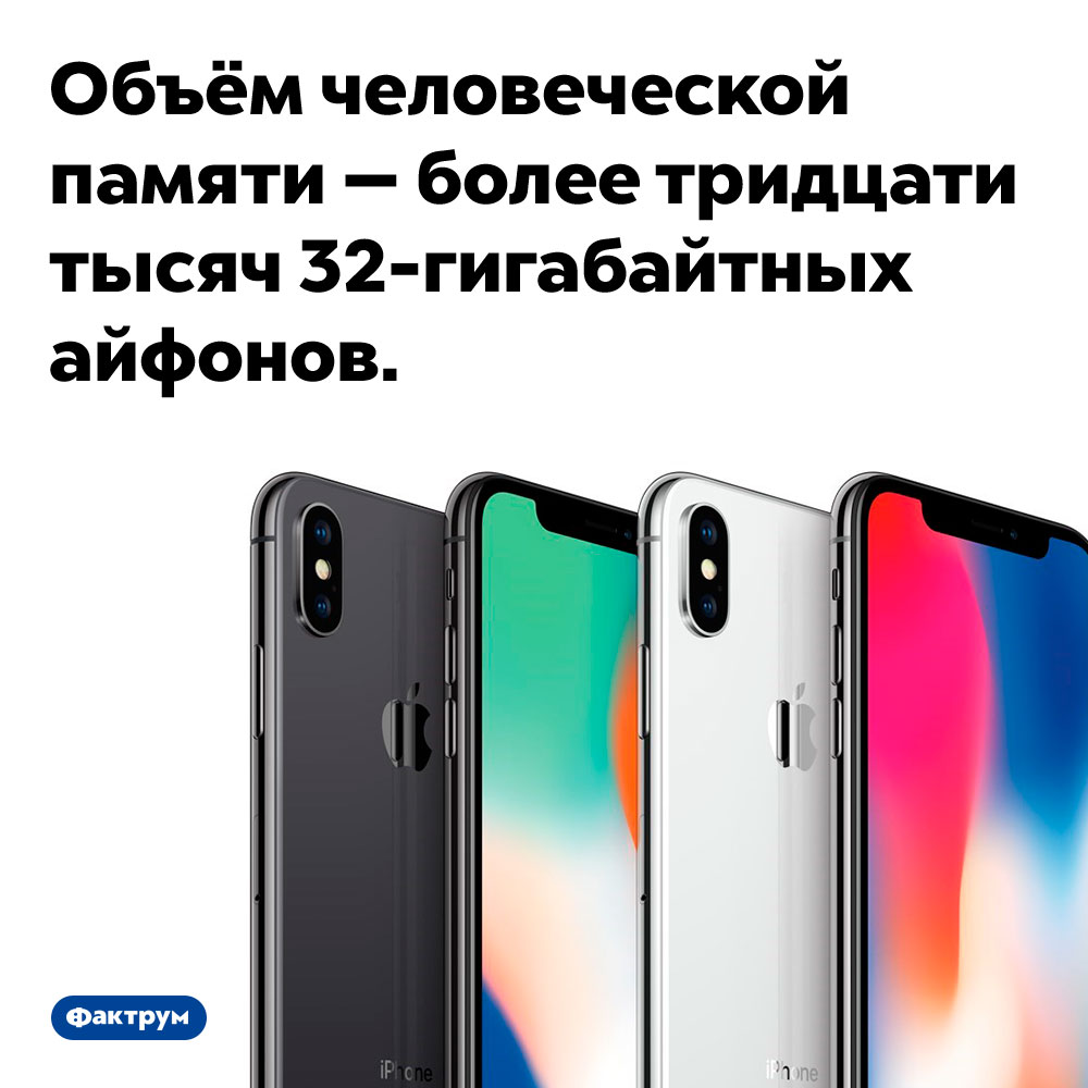 Объём человеческой памяти — более тридцати тысяч 32-гигабайтных айфонов. 
