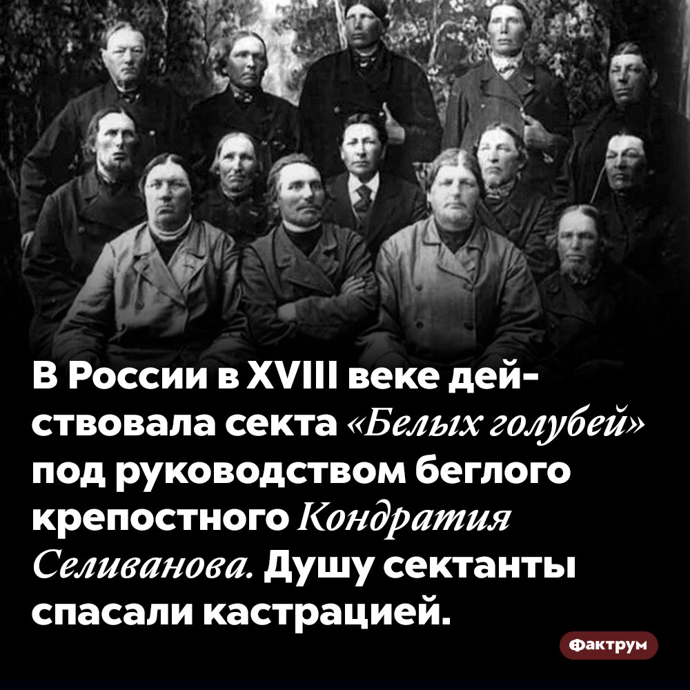 Секта «Белых голубей». В России в 18 веке действовала секта «Белых голубей» под руководством беглого крепостного Кондратия Селиванова. Душу сектанты спасали кастрацией.