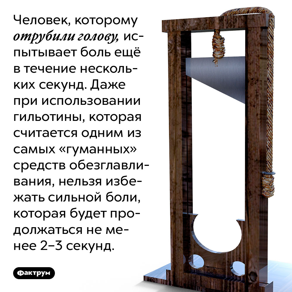 Человек, которому отрубили голову, испытывает боль ещё в течение нескольких секунд. Даже при использовании гильотины, которая считается одним из самых «гуманных» средств обезглавливания, нельзя избежать сильной боли, которая будет продолжаться не менее 2–3 секунд.