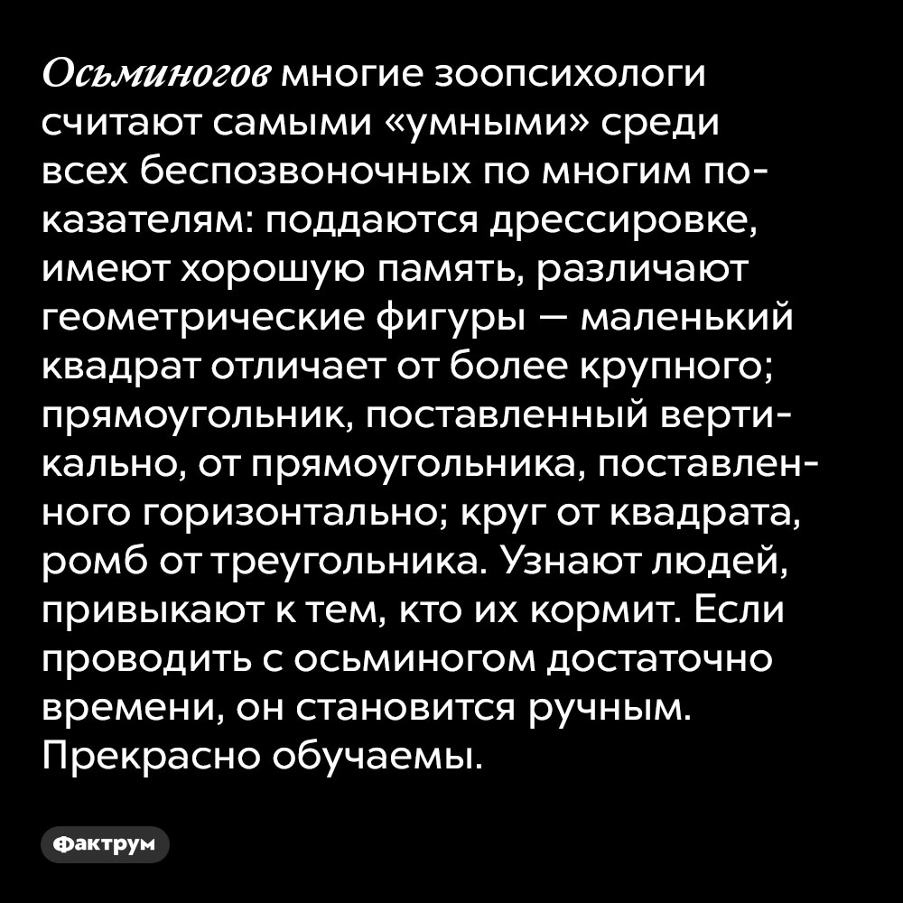 Осьминогов многие зоопсихологи считают самыми «умными» среди всех беспозвоночных по многим показателям. Они поддаются дрессировке, имеют хорошую память, различают геометрические фигуры — маленький квадрат отличает от более крупного; прямоугольник, поставленный вертикально, от прямоугольника, поставленного горизонтально; круг от квадрата, ромб от треугольника. Узнают людей, привыкают к тем, кто их кормит. Если проводить с осьминогом достаточно времени, он становится ручным. Прекрасно обучаемы.