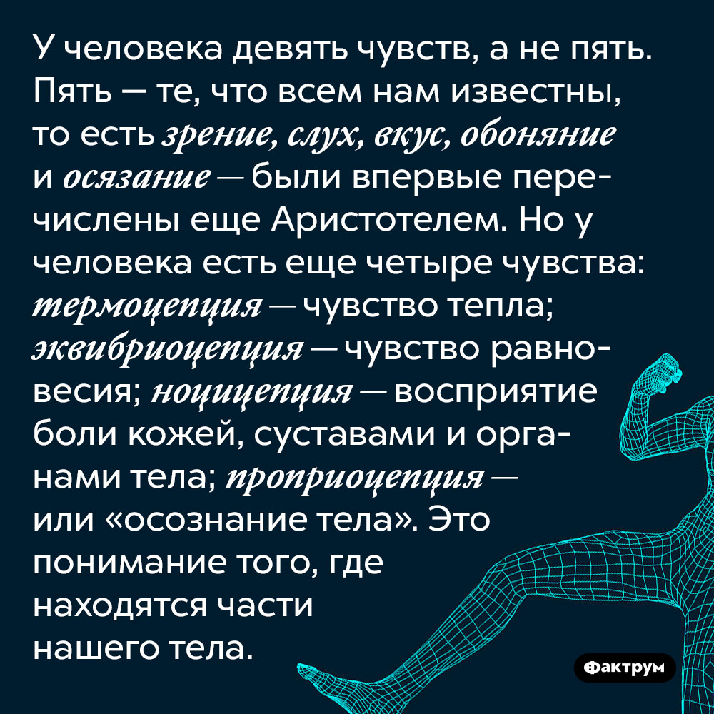 У человека девять чувств, а не пять. Пять — те, что всем нам известны, то есть зрение, слух, вкус, обоняние и осязание — были впервые перечислены еще Аристотелем. Но у человека есть еще четыре чувства: эквибриоцепция — чувство равновесия; ноцицепция — восприятие боли кожей, суставами и органами тела; проприоцепция — или «осознание тела». Это понимание того, где находятся части нашего тела.