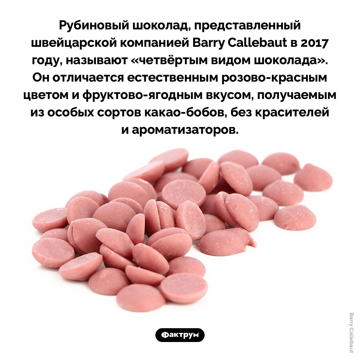 Четвертый вид шоколада - похожая новость на Toplenta