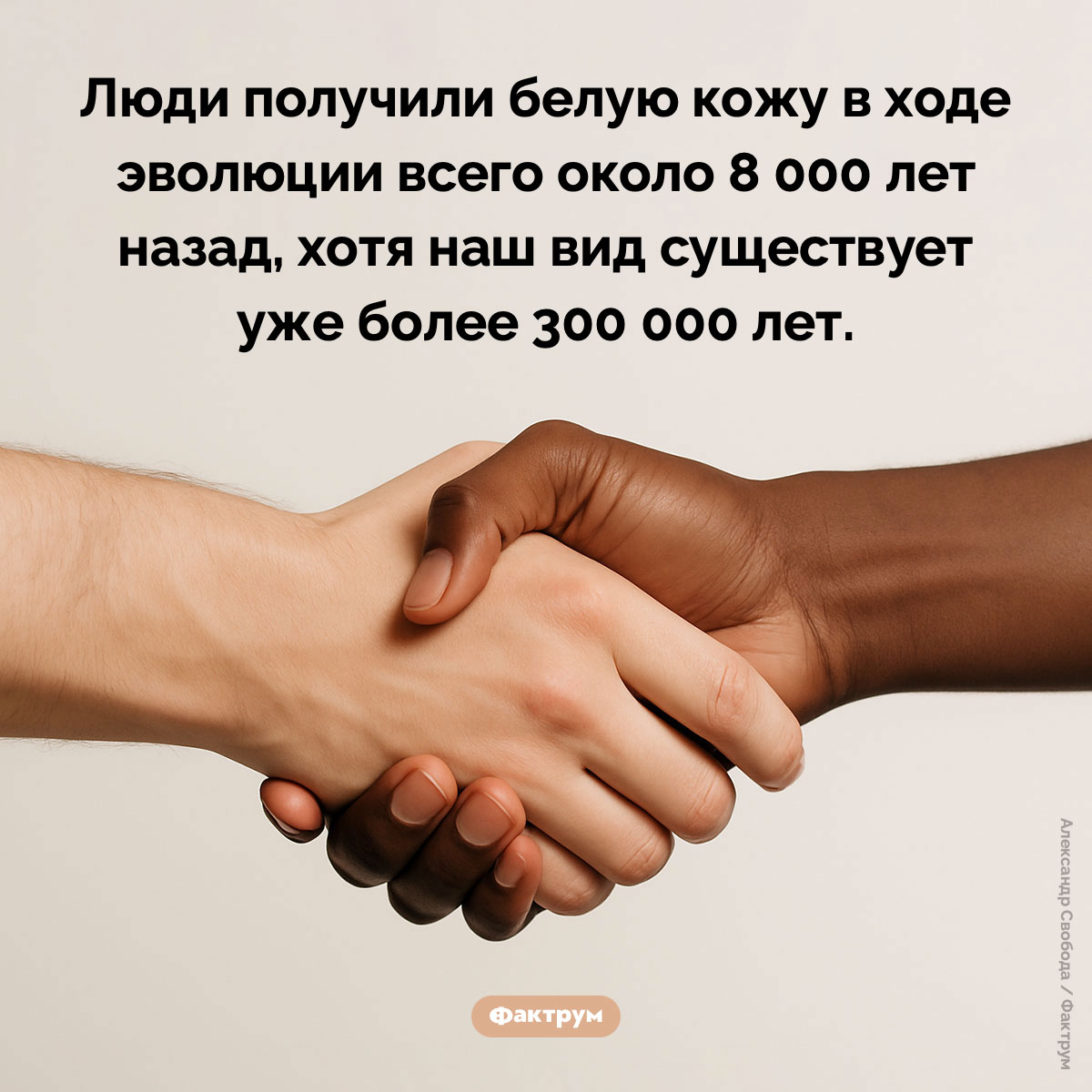 Когда у людей появилась белая кожа. Люди получили белую кожу в ходе эволюции всего около 8 000 лет назад, хотя наш вид существует уже более 300 000 лет.