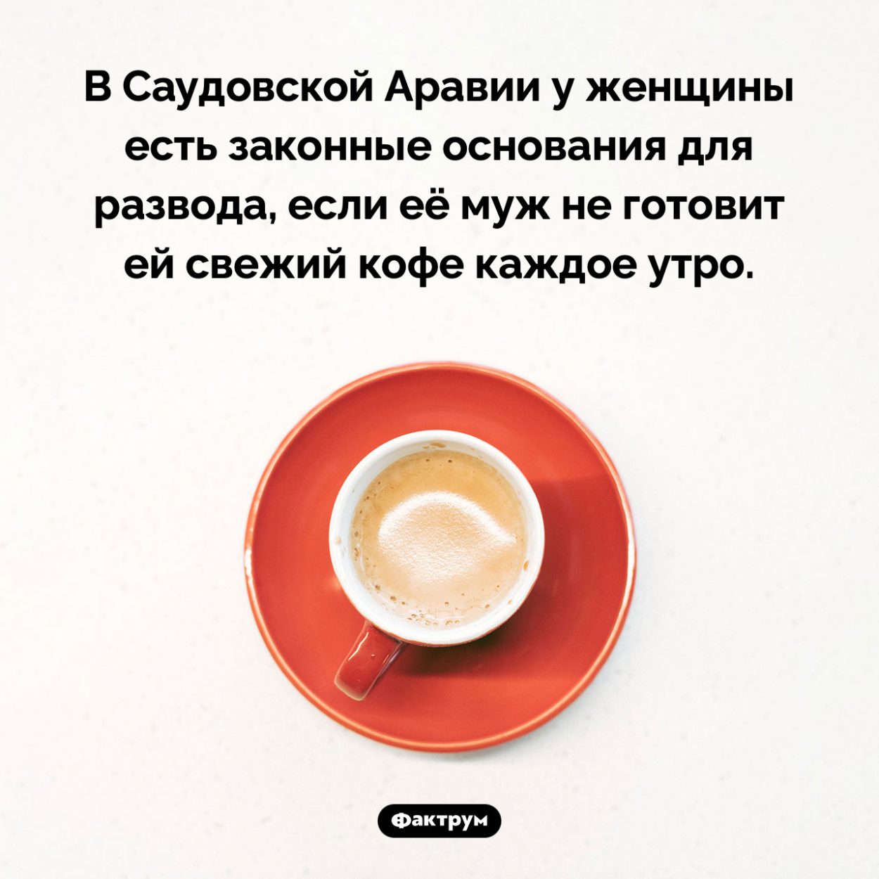 Необычный закон в Саудовской Аравии. В Саудовской Аравии у женщины есть законные основания для развода, если её муж не готовит ей свежий кофе каждое утро.