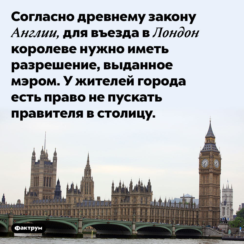 Проект закона у англичан 5 букв сканворд