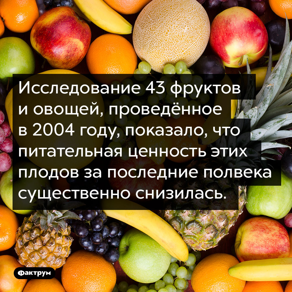 Питательность современных овощей и фруктов. Исследование 43 фруктов и овощей, проведённое в 2004 году, показало, что питательная ценность этих плодов за последние полвека существенно снизилась.