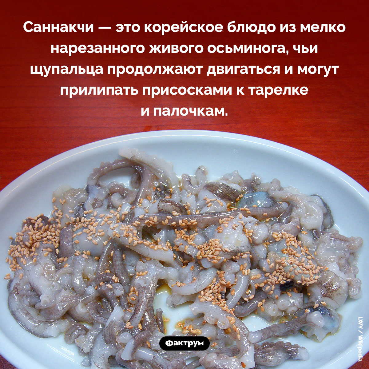 Осьминогов едят живыми. Саннакчи — это корейское блюдо из мелко нарезанного живого осьминога, чьи щупальца продолжают двигаться и могут прилипать присосками к тарелке и палочкам.