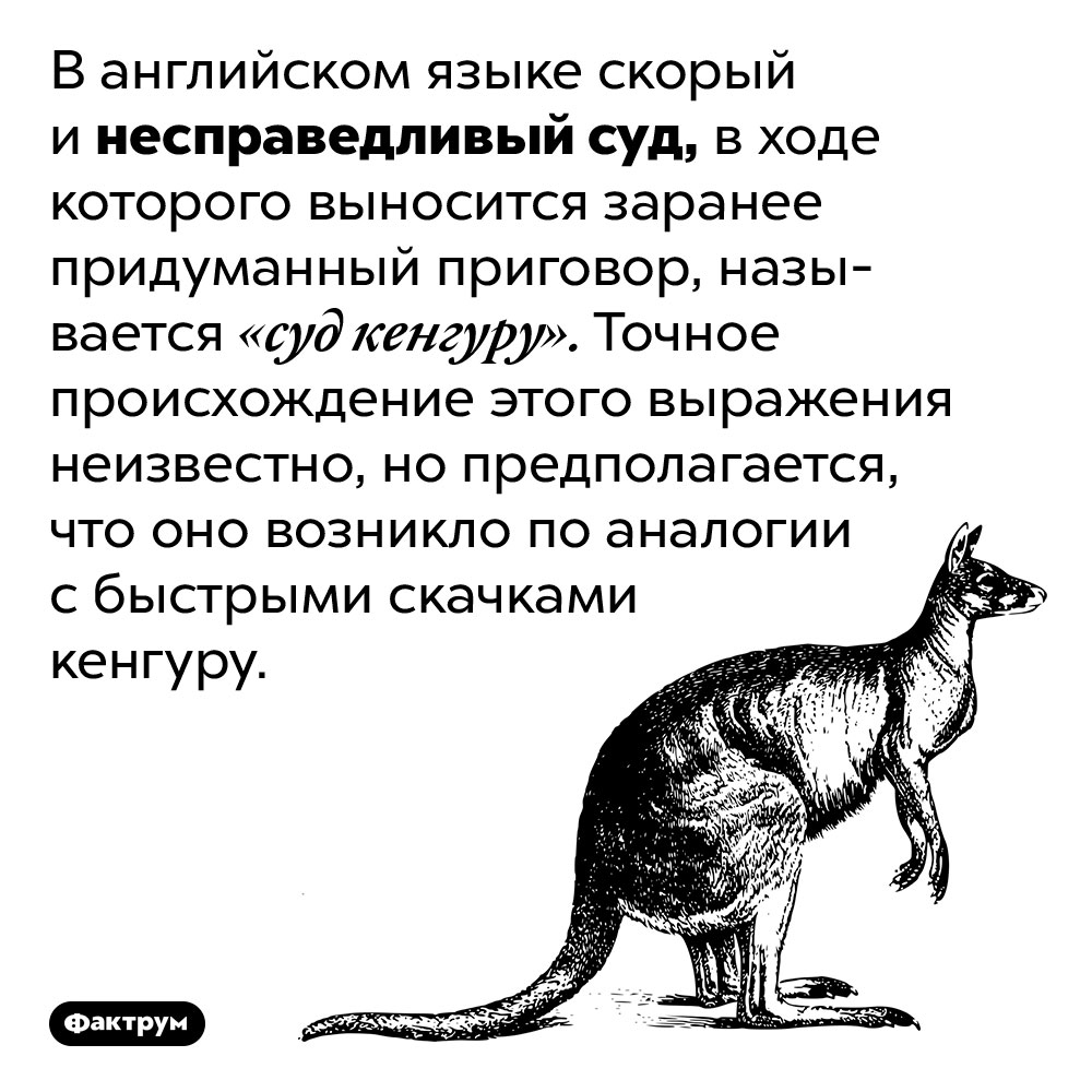 «Суд кенгуру» — это несправедливый суд с заранее придуманным приговором. В английском языке скорый и несправедливый суд, в ходе которого выносится заранее придуманный приговор, называется «суд кенгуру». Точное происхождение этого выражения неизвестно, но предполагается, что оно возникло по аналогии с быстрыми скачками кенгуру.
