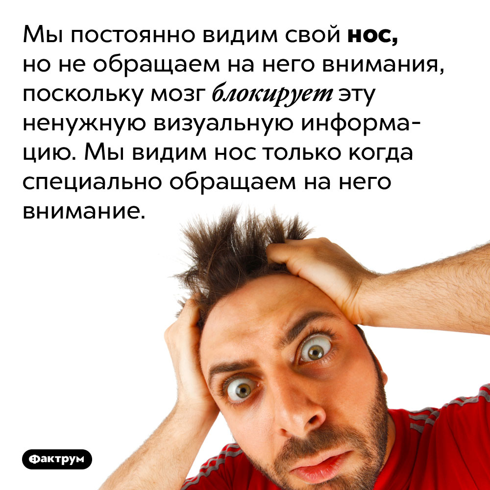 Мы всегда видим свой нос. Мы постоянно видим свой нос, но не обращаем на него внимания, поскольку мозг блокирует эту ненужную визуальную информацию. Мы видим нос только когда специально обращаем на него внимание.