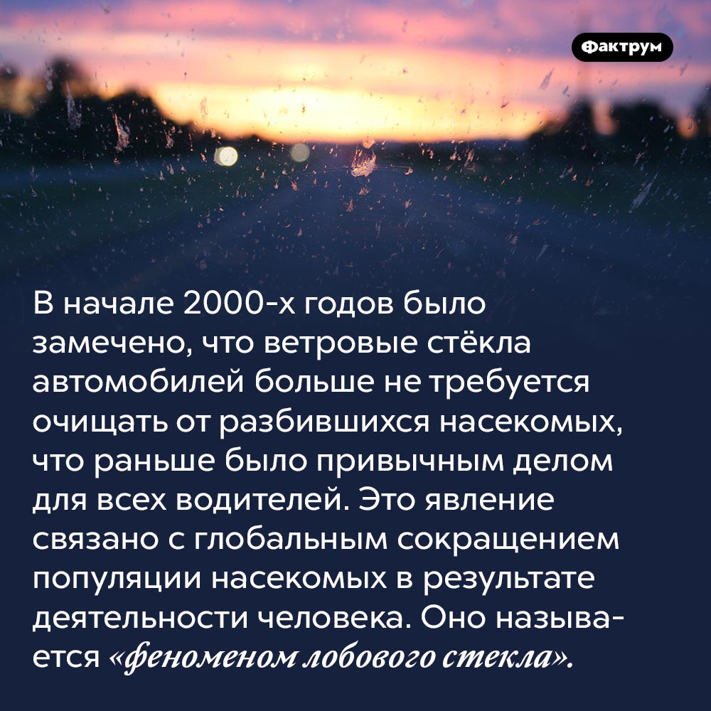 Феномен лобового стекла. В начале 2000-х годов было замечено, что ветровые стёкла автомобилей больше не требуется очищать от разбившихся насекомых, что раньше было привычным делом для всех водителей. Это явление связано с глобальным сокращением популяции насекомых в результате деятельности человека. Оно называется «феноменом лобового стекла».