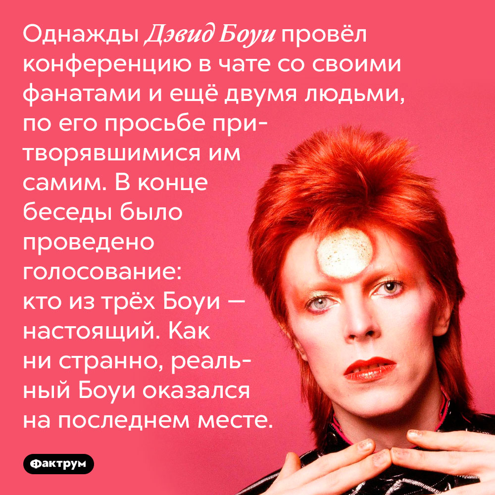 Фанаты не смогли отличить фальшивых Боуи от настоящего. Однажды Дэвид Боуи провёл конференцию в чате со своими фанатами и ещё двумя людьми, по его просьбе притворявшимися им самим. В конце беседы было проведено голосование: кто из трёх Боуи — настоящий. Как ни странно, реальный Боуи оказался на последнем месте.