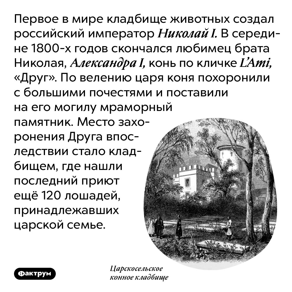 Первое кладбище животных появилось в России. Первое в мире кладбище животных создал российский император Николай I. В середине 1800-х годов скончался любимец брата Николая, Александра I, конь по кличке L’Ami, «Друг». По велению царя коня похоронили с большими почестями и поставили на его могилу мраморный памятник. Место захоронения Друга впоследствии стало кладбищем, где нашли последний приют ещё 120 лошадей, принадлежавших царской семье.