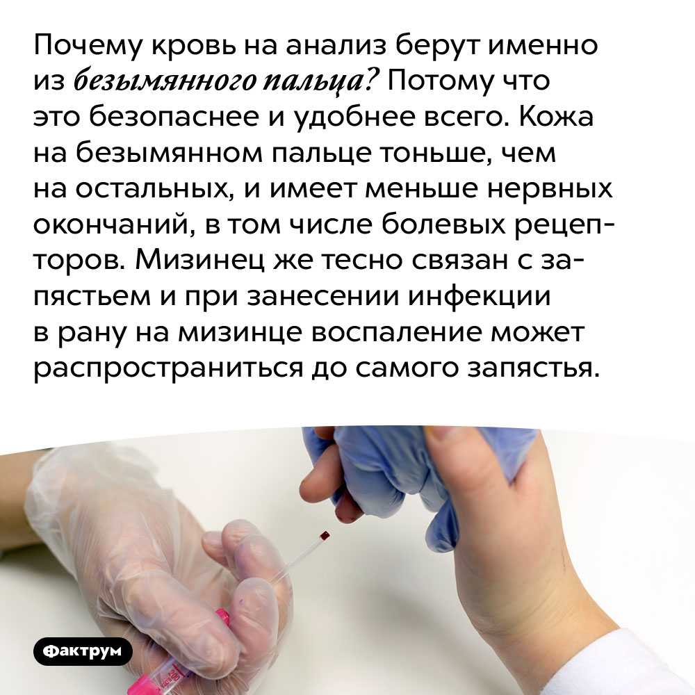 Безымянный палец — самый безопасный для забора крови. Почему кровь на анализ берут именно из безымянного пальца? Потому что это безопаснее и удобнее всего. Кожа на безымянном пальце тоньше, чем на остальных, и имеет меньше нервных окончаний, в том числе болевых рецепторов. Мизинец же тесно связан с запястьем и при занесении инфекции в рану на мизинце воспаление может распространиться до самого запястья.