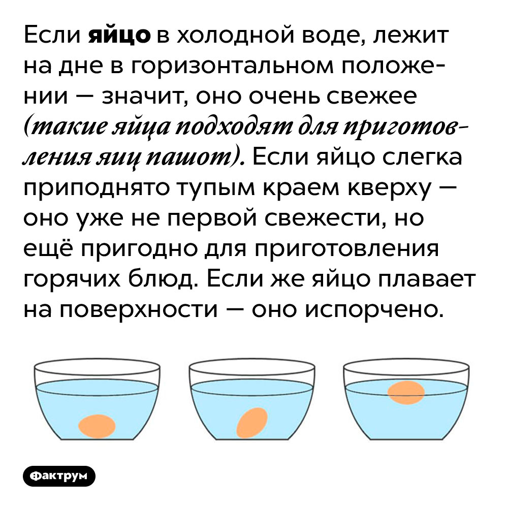 Яйцо всплыло в холодной воде. Яйцо всплывает в воде. Если яйцо всплывает в холодной воде. Если свежее яйцо всплывает в воде. Яйцо всплыло в холодной воде. Яйцо всплывает в воде. Если яйцо всплывает в холодной воде. Если свежее яйцо всплывает в воде.