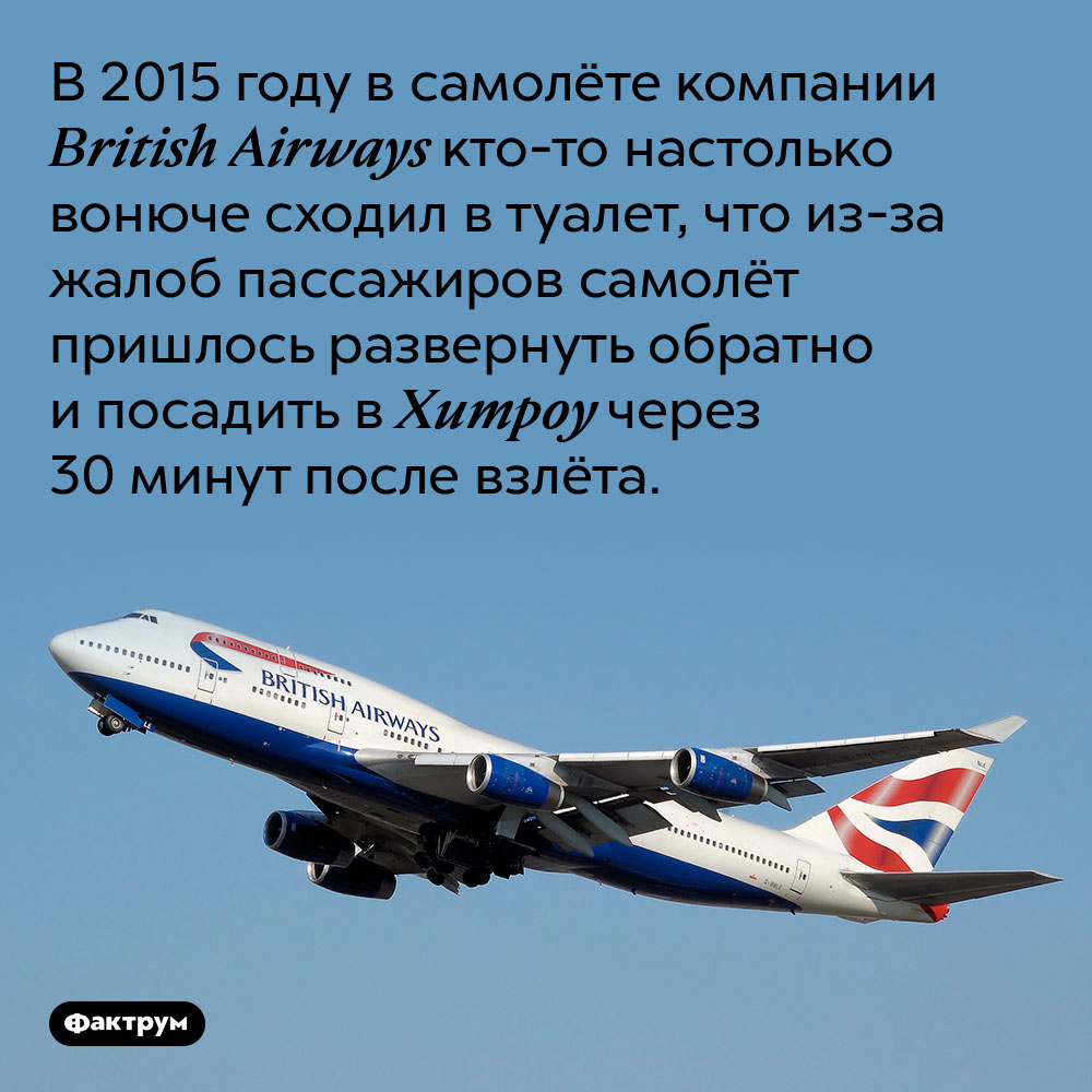 Посещение пассажиром туалета заставило самолёт вернуться в аэропорт. В 2015 году в самолёте компании British Airways кто-то настолько вонюче сходил в туалет, что из-за жалоб пассажиров самолёт пришлось развернуть обратно и посадить в Хитроу через 30 минут после взлёта.