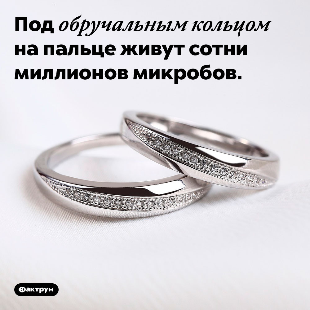 Под обручальным кольцом на пальце живут сотни миллионов микробов.
