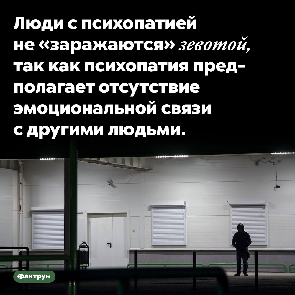 Психопаты не «заражаются» зевотой. Люди с психопатией не «заражаются» зевотой, так как психопатия предполагает отсутствие эмоциональной связи с другими людьми.