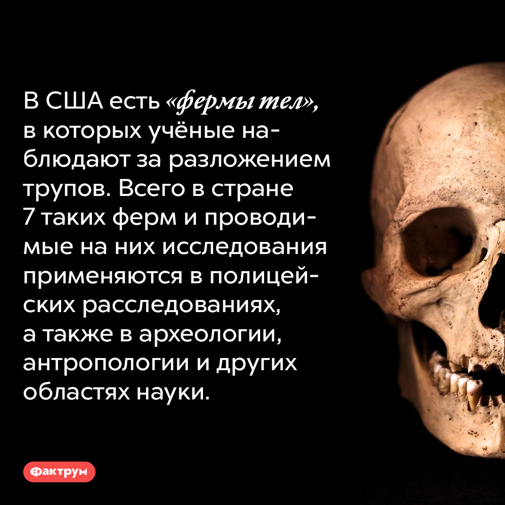 США есть «фермы тел», в которых учёные наблюдают за разложением трупов. Всего в стране 7 таких ферм и проводимые на них исследования применяются в полицейских расследованиях, а также в археологии, антропологии и других областях науки.