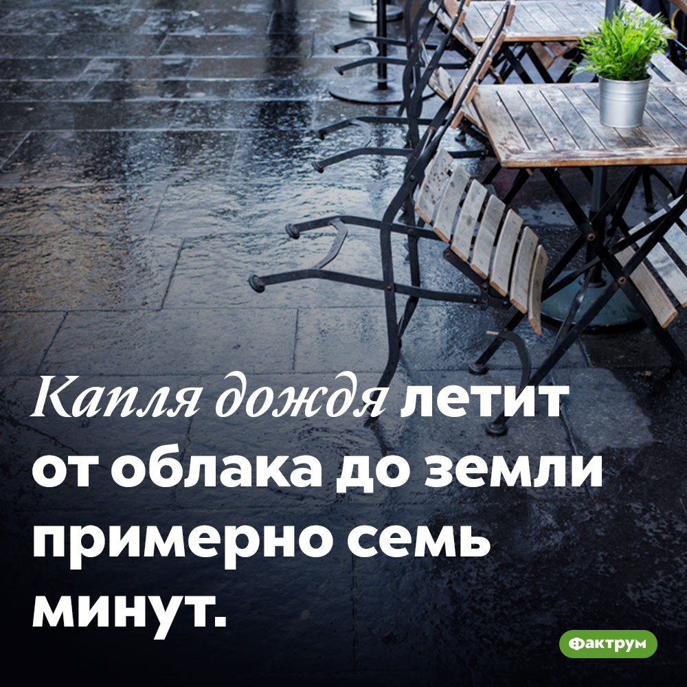 Капля дождя падает на землю семь минут.