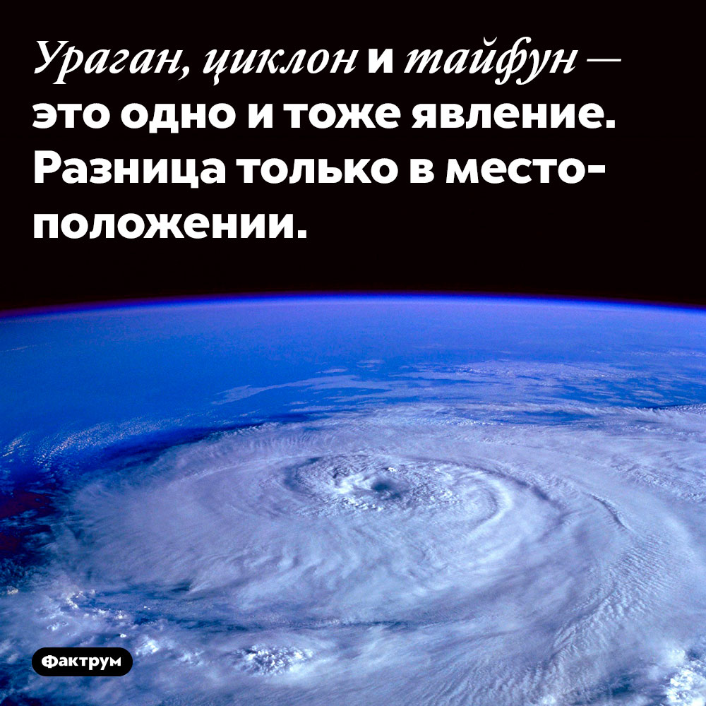 Ураган, циклон и тайфун — разные названия одного явления. Ураган, циклон и тайфун — это одно и тоже природное явление. Разница только в местоположении.