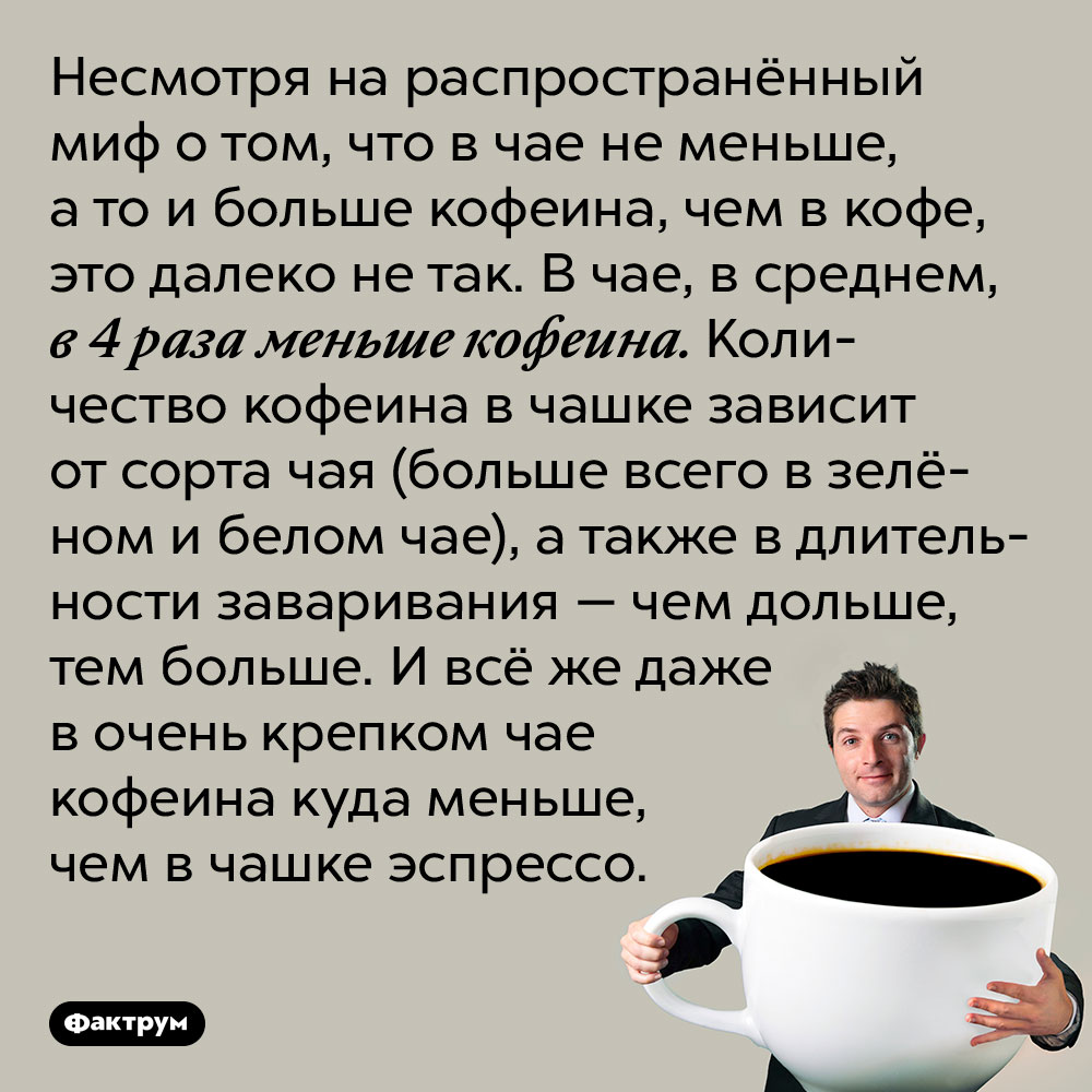 В чае значительно меньше кофеина, чем в кофе. Несмотря на распространённый миф о том, что в чае не меньше, а то и больше кофеина, чем в кофе, это далеко не так. В чае, в среднем, в 4 раза меньше кофеина. Количество кофеина в чашке зависит от сорта чая (больше всего в зелёном и белом чае), а также в длительности заваривания — чем дольше, тем больше. И всё же даже в очень крепком чае кофеина куда меньше, чем в чашке эспрессо.
