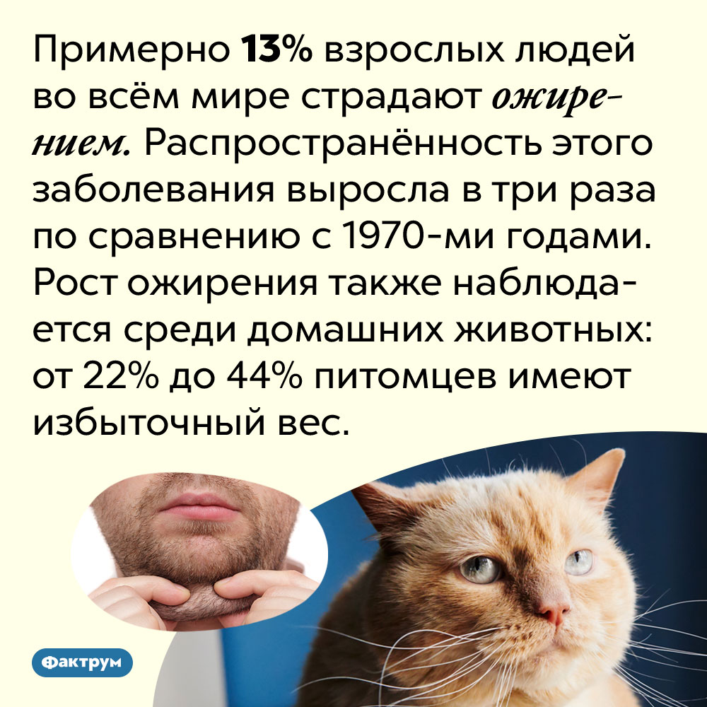 У 13% взрослого человечества ожирение. Примерно 13% взрослых людей во всём мире страдают ожирением. Распространённость этого заболевания выросла в три раза по сравнению с 1970-ми годами. Рост ожирения также наблюдается среди домашних животных: от 22% до 44% питомцев имеют избыточный вес.